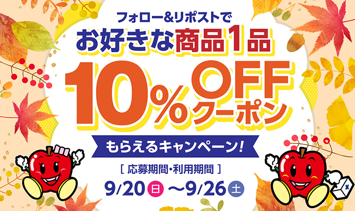 ドラモリ公式Xで10%OFFクーポン配布中!!